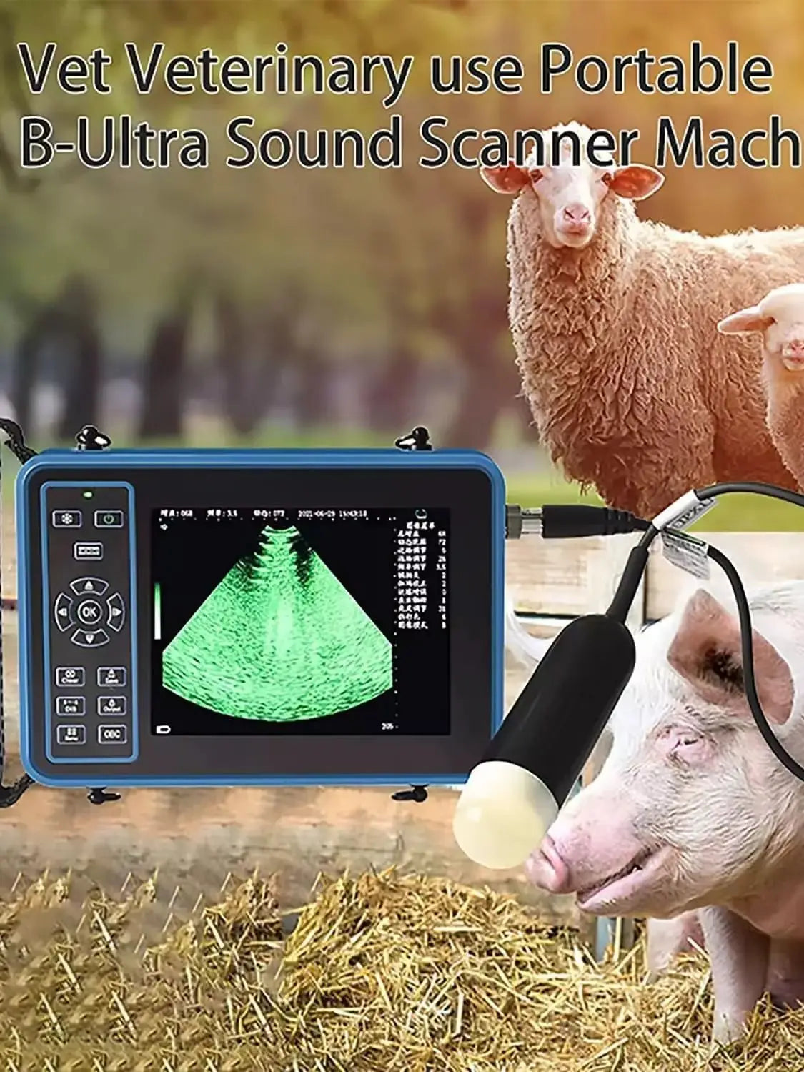 Dawei Portable Veterinary Ultrasound Scanner With 3.5MHz Probe