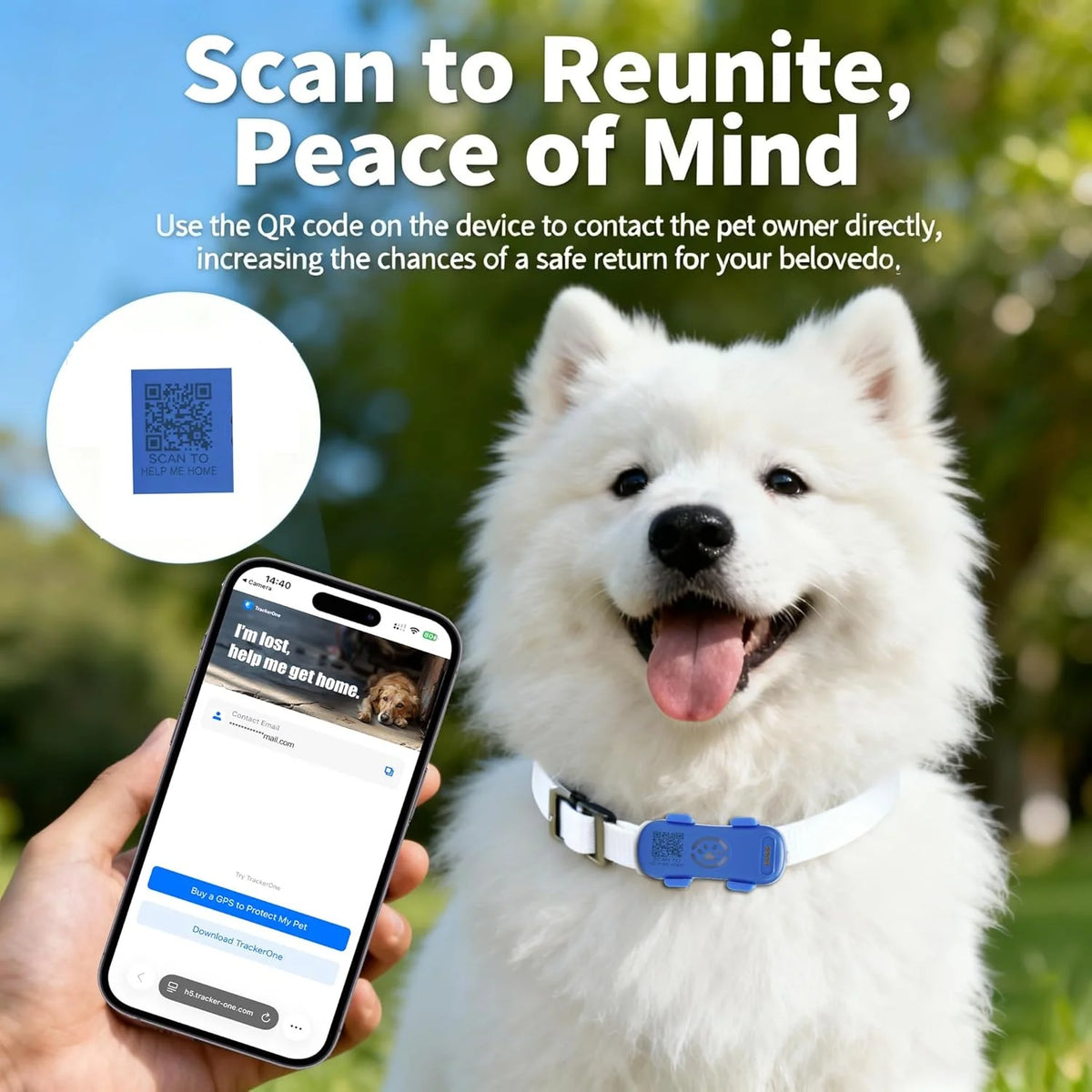 4G Real Time GPS Pet Tracker With Safe Zone Monitoring