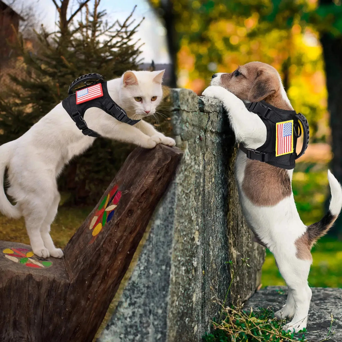 Adjustable PETRAVEL Tactical Dog Harness With Leash Set