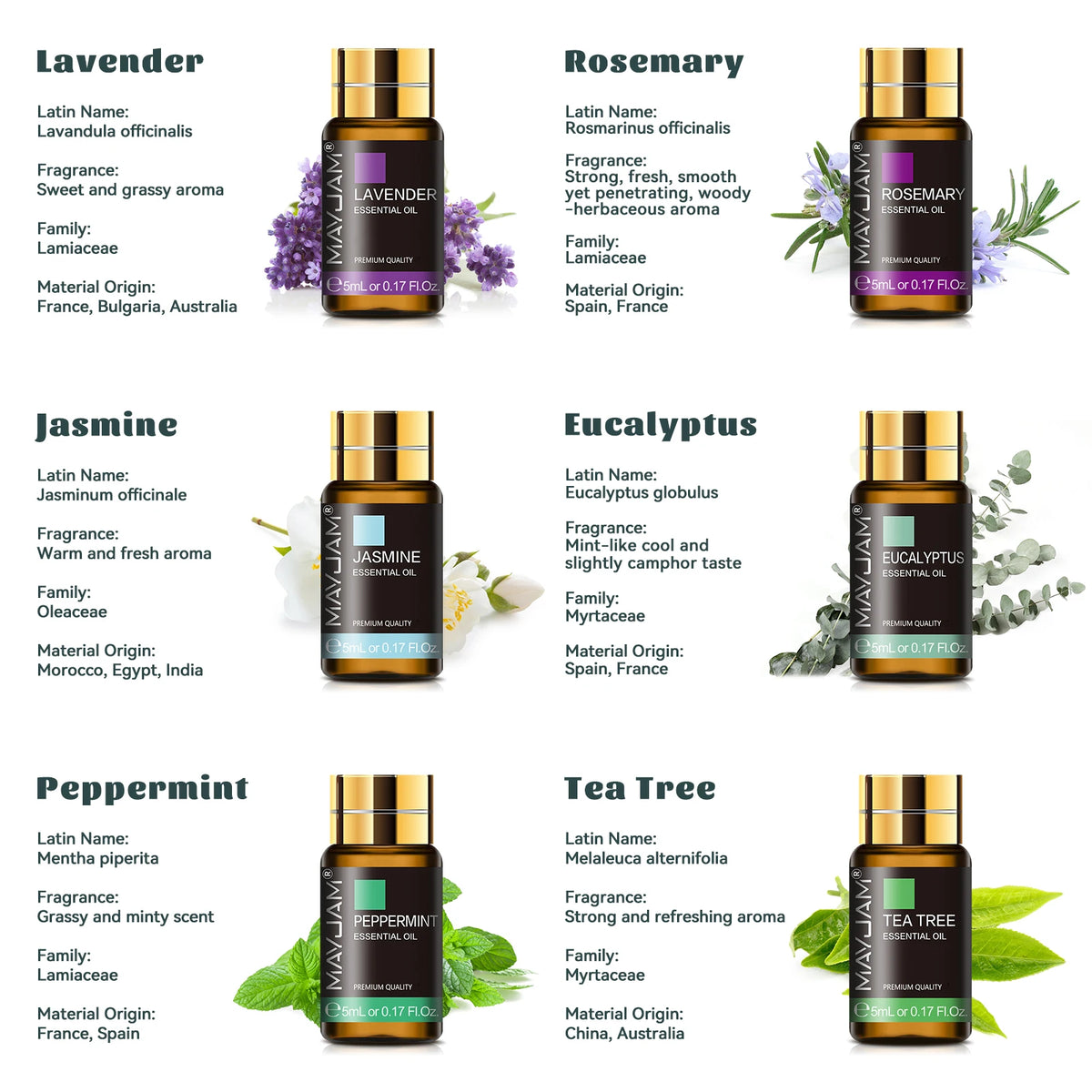 MAYJAM Assorted Essential Oils Aromatherapy Kit Gift Box Set