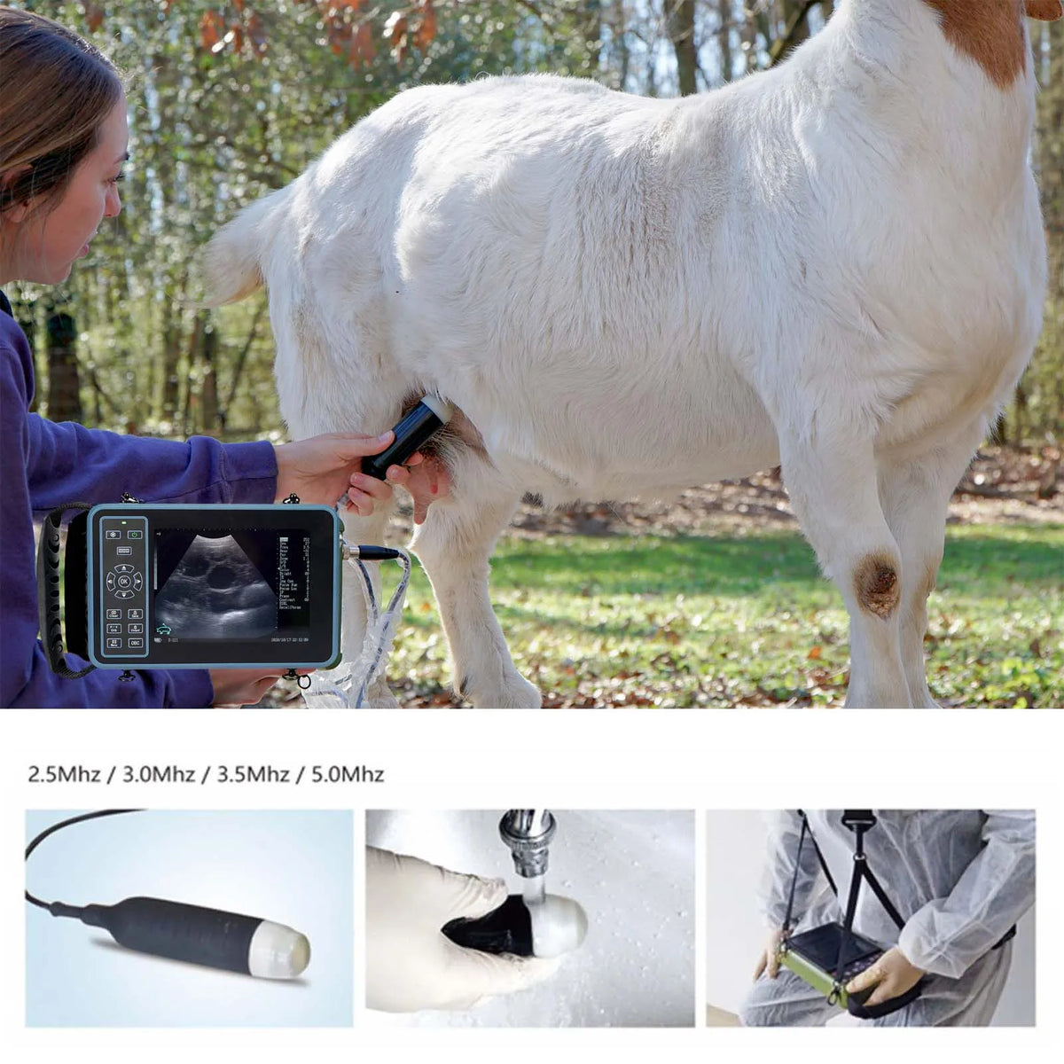 Dawei Portable Veterinary Ultrasound Scanner With 3.5MHz Probe