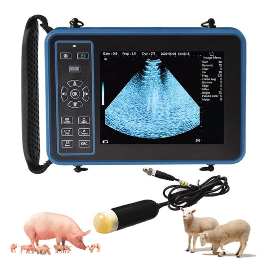 Dawei Portable Veterinary Ultrasound Scanner With 3.5MHz Probe