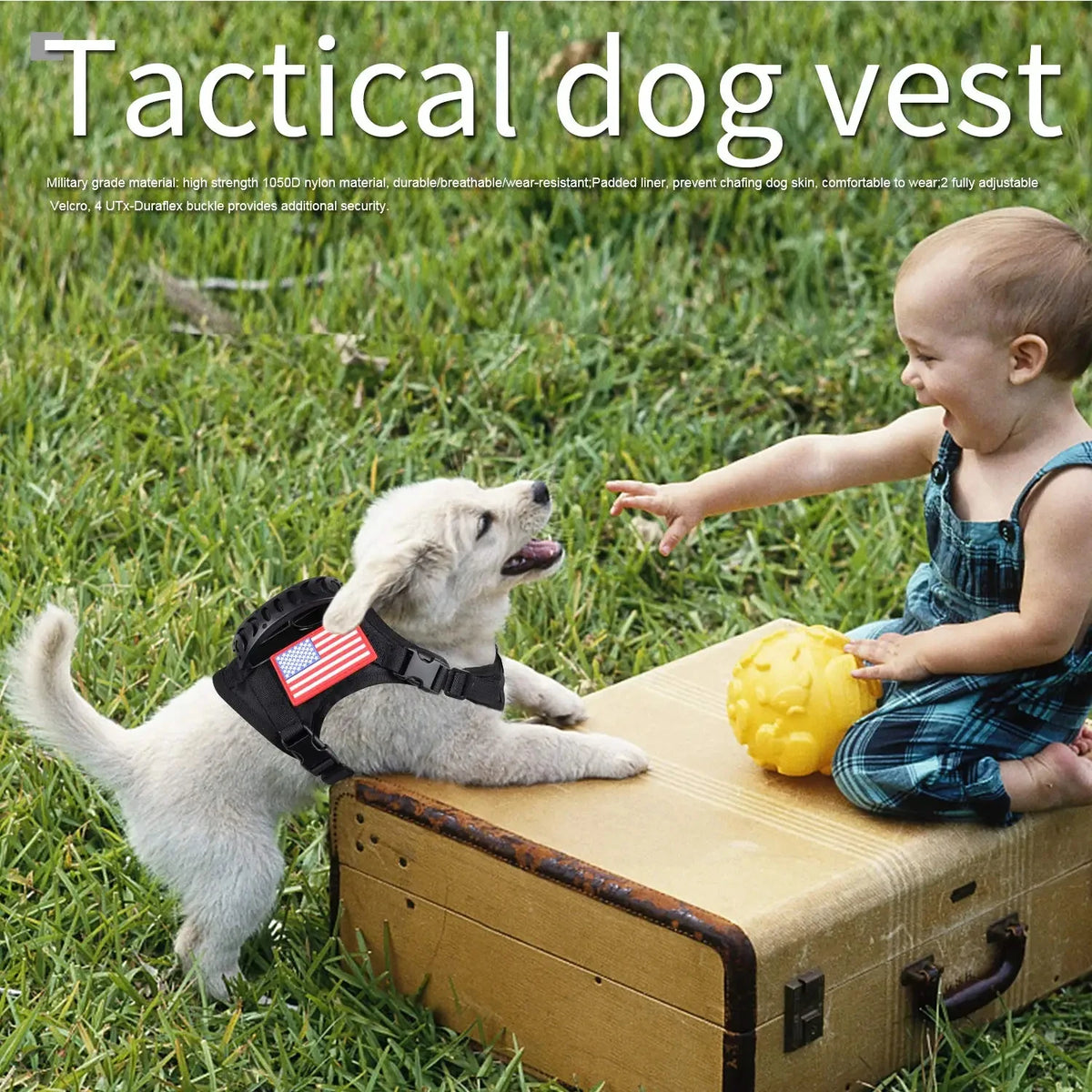 Adjustable PETRAVEL Tactical Dog Harness With Leash Set
