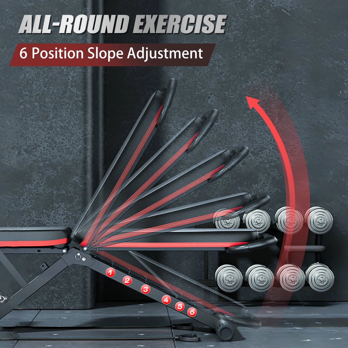 Premium Foldable Dumbbell Bench For Full Body Home Gym Workouts