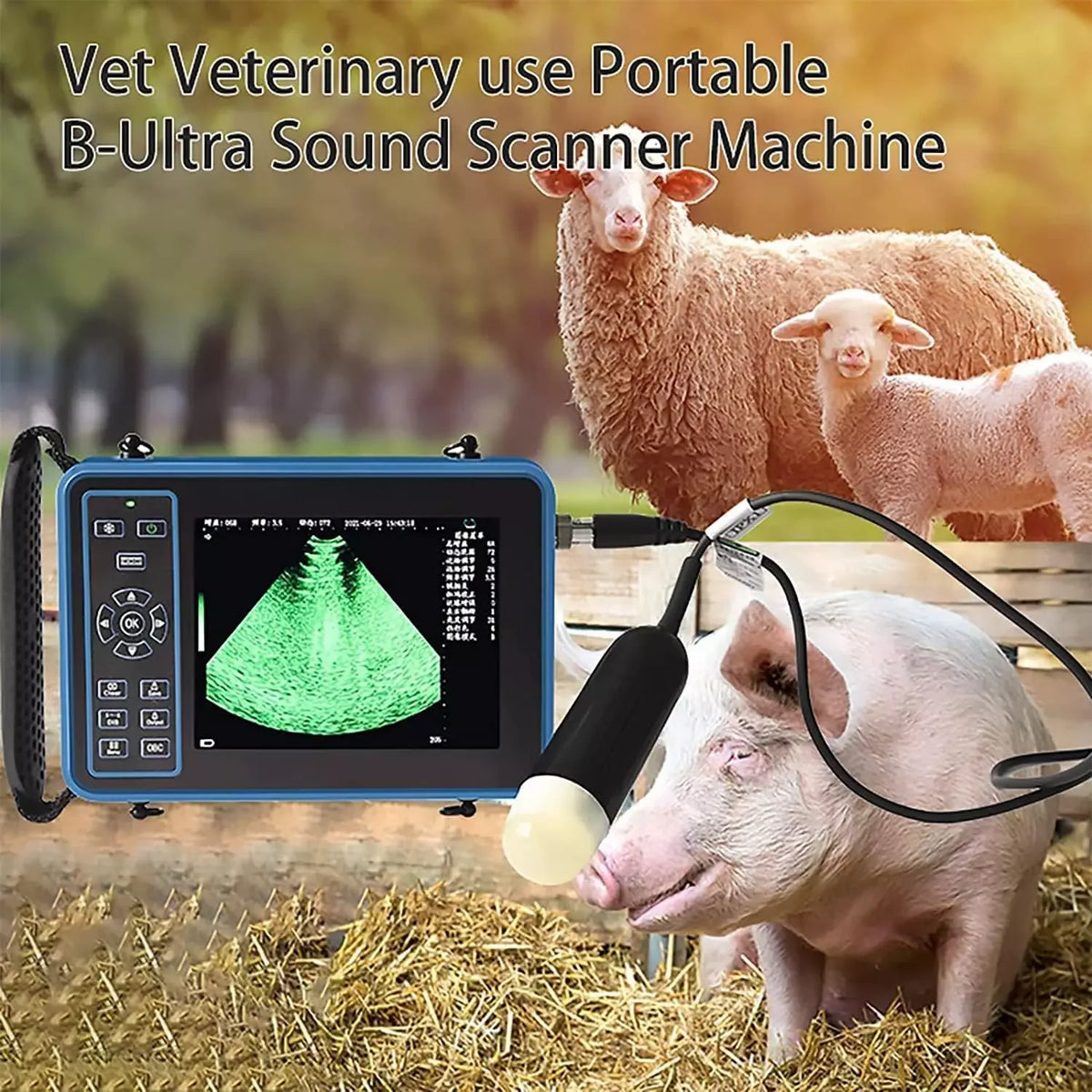 Dawei Portable Veterinary Ultrasound Scanner With 3.5MHz Probe