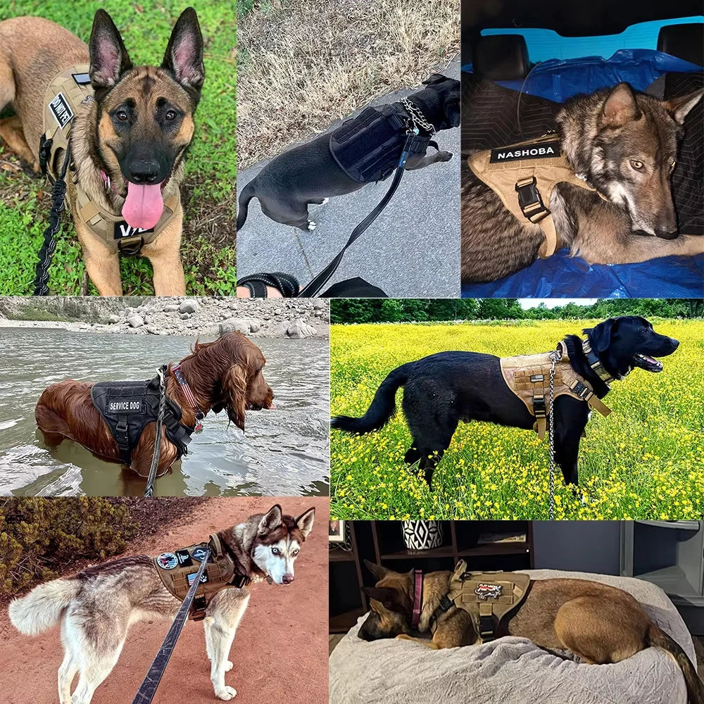Petravel Padded Tactical Dog Harness Vest With Quick Release