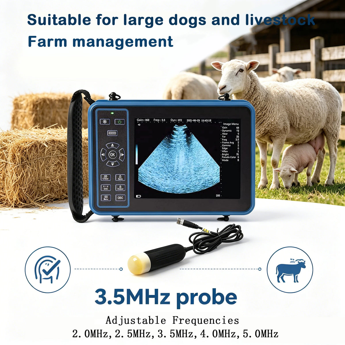Dawei Portable Veterinary Ultrasound Scanner With 3.5MHz Probe