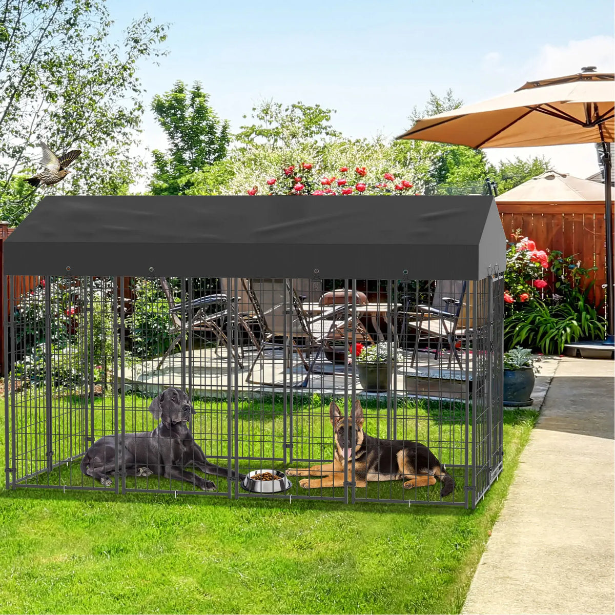 Sturdy Outdoor Iron Dog Cage Pet Run Enclosure With Roof